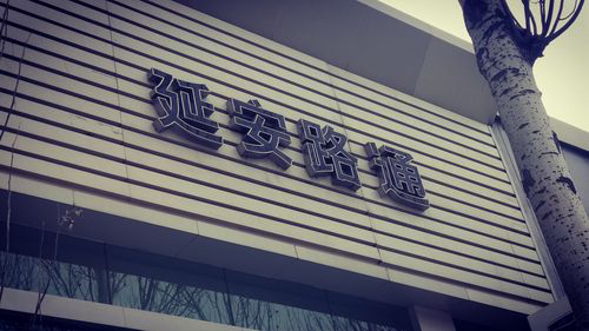 路通汽车销售
